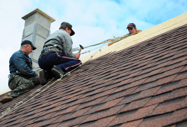 Best Storm Damage Roof Repair  in Huguley, AL